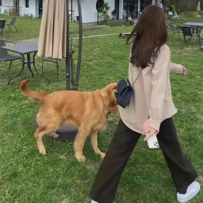 中国好声音第四季