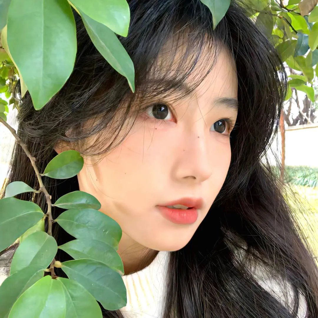权力背后